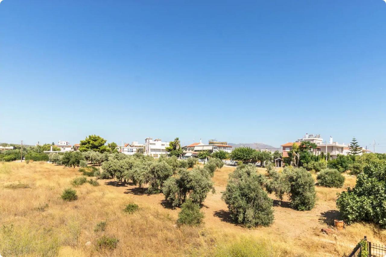 Appartement Οικια Elisabeth à Artemi Extérieur photo