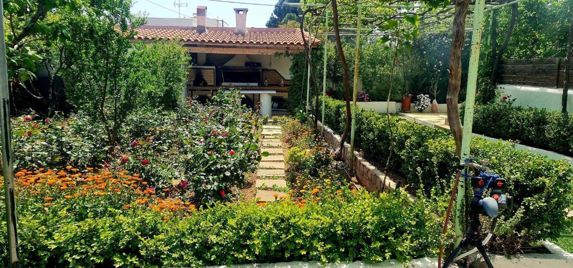 Appartement Οικια Elisabeth à Artemi Extérieur photo